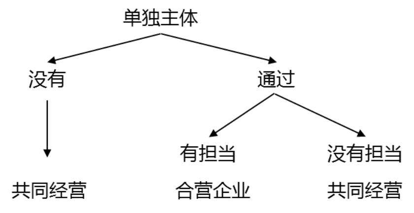 合营安排的概念