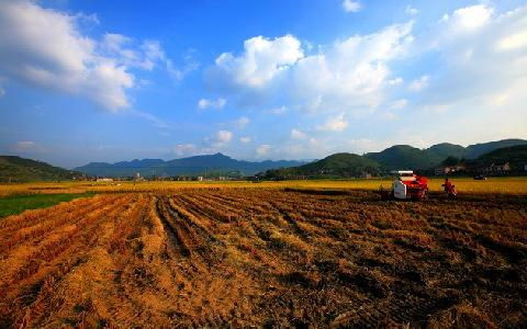 农民地被强拆怎么办